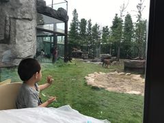 -上海野生动物园老虎餐厅