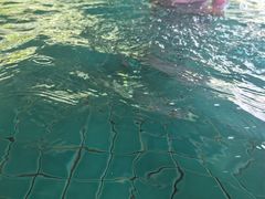 -三亚亚龙湾希尔顿酒店