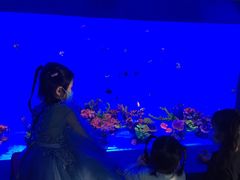 -厦门海底世界