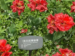 -香山公园