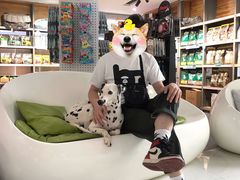 -奈斯宠物医院·核磁CT·异宠专科·内镜(中南店)
