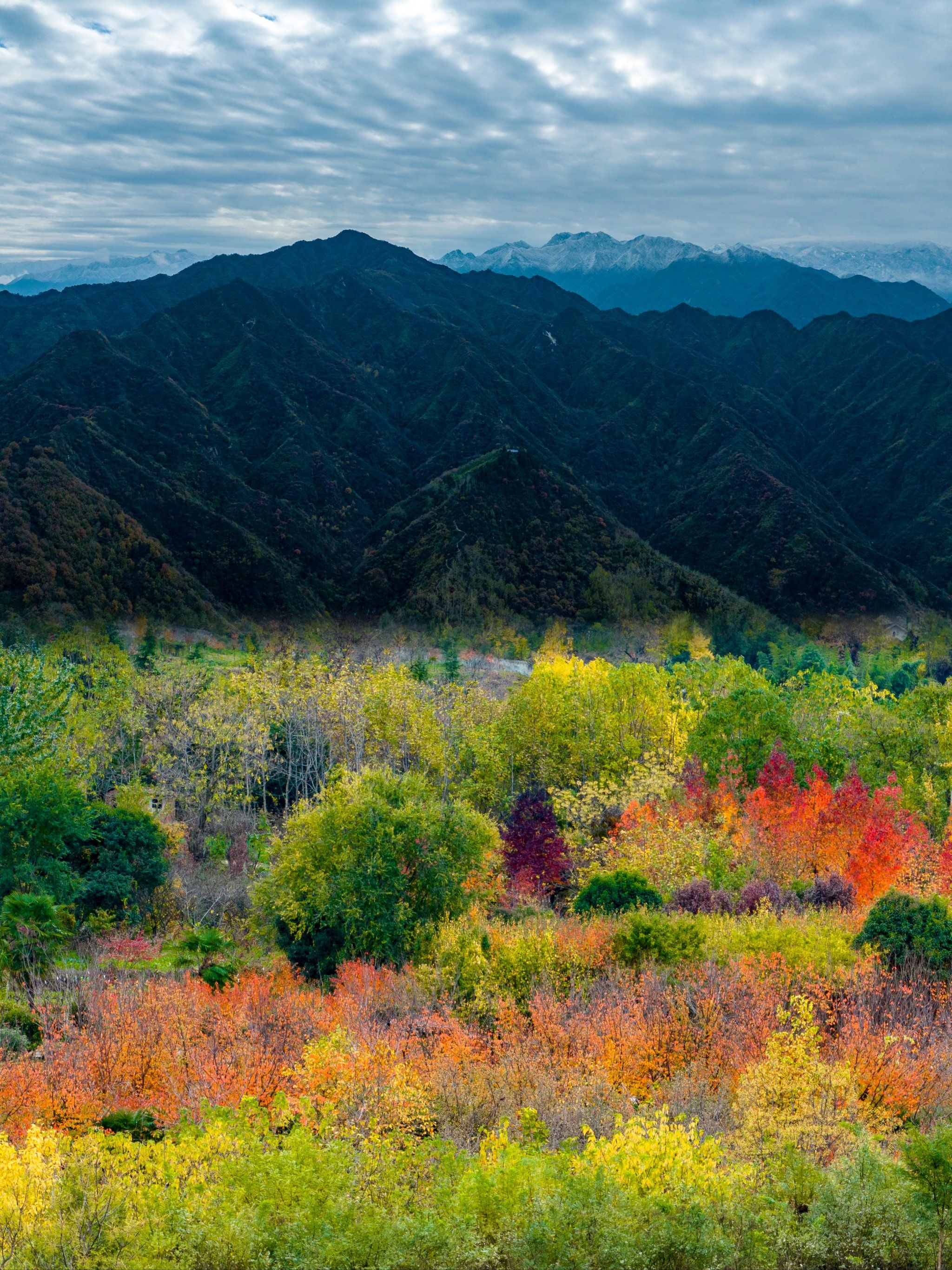 色彩缤纷的秋日风景