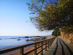 -青岛海滨风景区