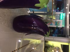 -义乌之心城市生活广场(新马路店)