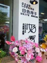 -好看加白色房子