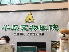 -半岛宠物医院24小时(科华中路店)