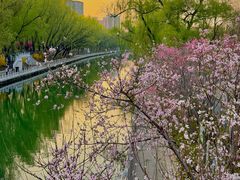-南长河公园