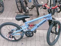 -道路口单车爱瓦士dahon大行