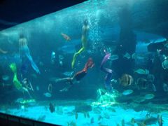 泉城海洋极地世界-泉城欧乐堡海洋极地世界