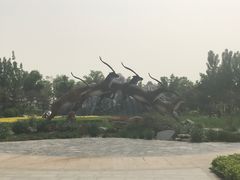 -武清南湖绿博园