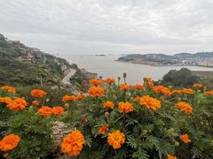 -温岭石塘海边
