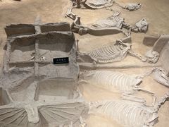 -洛阳周王城天子驾六博物馆