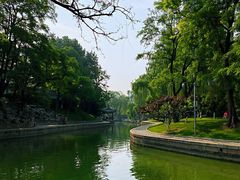 -万柳阁小馆·花园餐厅(龙潭湖店)
