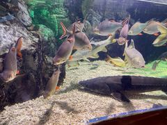 -太平洋海底世界