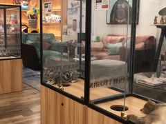 -袖虎·猫馆(体育西路店)
