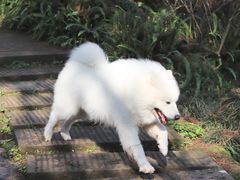 -重庆彩云湖湿地公园