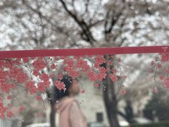 -湖北中医药大学(昙华林校区)