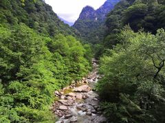 -青峰峡国家森林公园