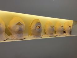 点击看大图 -VE专注问题肌·赛诺龙&科学美肤中心