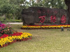 -万绿园