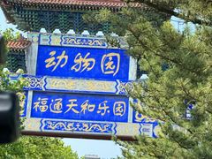-西霞口神雕山野生动物世界