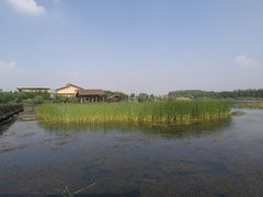 -溱湖国家湿地公园