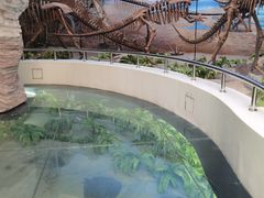 -延庆地质公园博物馆