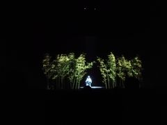 -芜湖方特东方神画