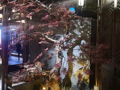 -解家河南菜(金水路店)