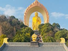 -庐山风景名胜区-东林大佛