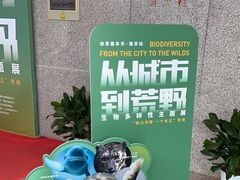 -金陵图书馆