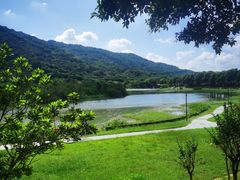 -风云岭森林公园