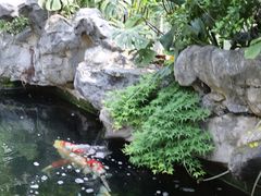 -观音桥步行街