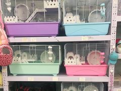 -钓仓鼠(洋桥北里小区店)