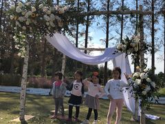 -前小桔亲子创意农场·草莓采摘·露营烧烤