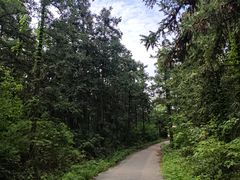 -句容茅山景区