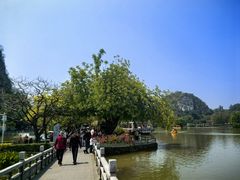 -星湖旅游景区七星岩