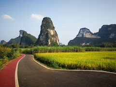 -明仕田园
