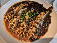 雪菜黄鱼-花园茶楼(兴城西路店)