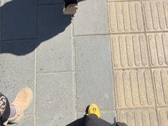 -罗布林卡