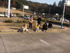 -大胖虎驾考驾校(郭巷训练场)