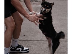 -柚下次·关东煮