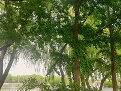 -后海公园