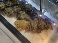 -圣罗巴海鲜烤肉自助(佳兆业店)