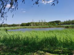 -野鸭湖国家湿地公园