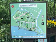 -合肥滨湖国家森林公园