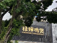 -禄婶鸡煲·打边炉