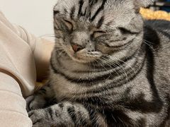 -觅KTV(岳峰大厦店)