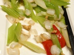 -泰康之家·申园