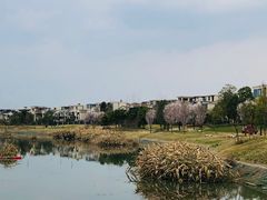 -两河城市森林公园